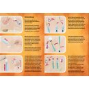 Phage test kit - method according to Appelman